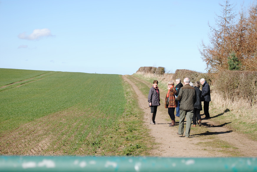 Looking for Standing Stones